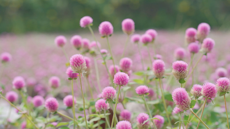 ただいま更新中、しばらくお待ちください。